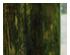 229689_2 thumbnail image