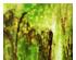 229689_4 thumbnail image