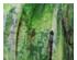 229689_5 thumbnail image