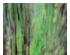 229689_6 thumbnail image