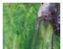 229689_7 thumbnail image
