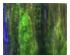 229701_6 thumbnail image