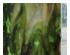 229713_2 thumbnail image