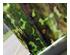 229713_3 thumbnail image