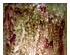 229713_6 thumbnail image