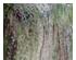229713_7 thumbnail image