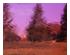 229754_1 thumbnail image