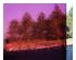 229754_2 thumbnail image