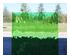 229766_1 thumbnail image