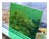 229766_2 thumbnail image