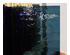 229850_3 thumbnail image