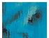 229863_5 thumbnail image