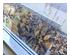 229992_4 thumbnail image