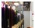 229992_5 thumbnail image