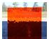 230039_1 thumbnail image