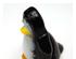 230120_3 thumbnail image