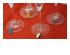 230382_1 thumbnail image