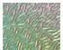 230439_1 thumbnail image