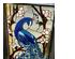 230528_3 thumbnail image