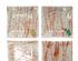 230564_9 thumbnail image