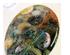 230620_6 thumbnail image