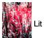 230708_2 thumbnail image