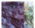 230708_6 thumbnail image