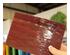 230708_9 thumbnail image