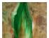 230732_1 thumbnail image