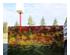 230732_3 thumbnail image