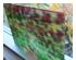 230732_4 thumbnail image