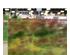 230732_6 thumbnail image