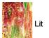 230732_8 thumbnail image