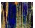 230748_1 thumbnail image
