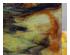 230748_2 thumbnail image