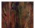 230764_1 thumbnail image