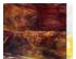 230764_2 thumbnail image