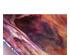 230764_5 thumbnail image