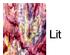 230764_8 thumbnail image