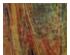230772_1 thumbnail image