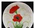 230906_5 thumbnail image