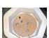 230991_4 thumbnail image