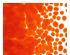 231081_1 thumbnail image