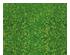 231086_1 thumbnail image