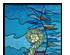 232194_2 thumbnail image