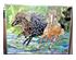 232194_3 thumbnail image
