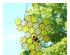232194_4 thumbnail image