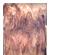 232436_3 thumbnail image