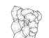 233559_2 thumbnail image