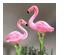 233616_3 thumbnail image